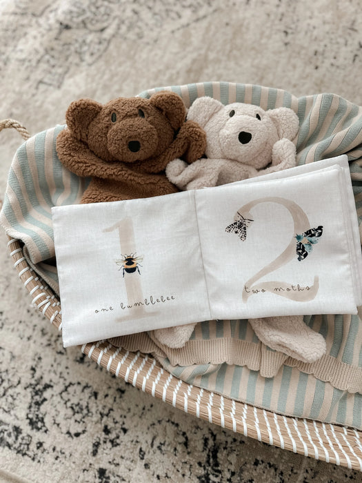 Counting Creepy Crawlies Crinkle Book