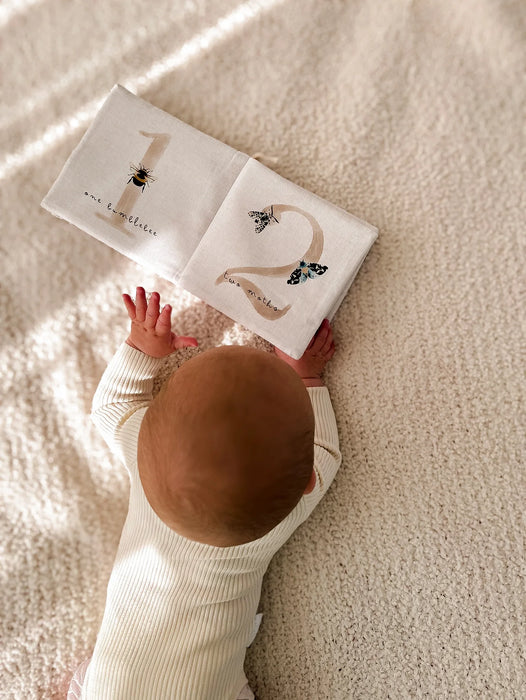 Counting Creepy Crawlies Crinkle Book