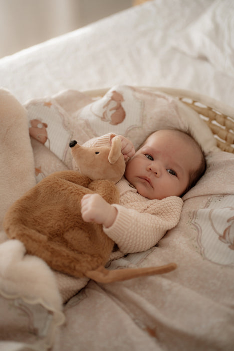 Squeaky the Sweet Comforter Toy