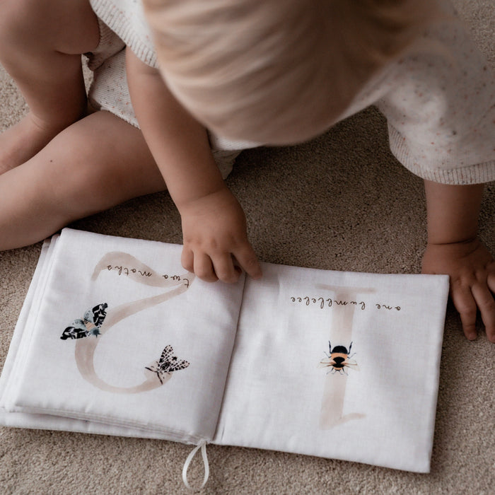 Counting Creepy Crawlies Crinkle Book